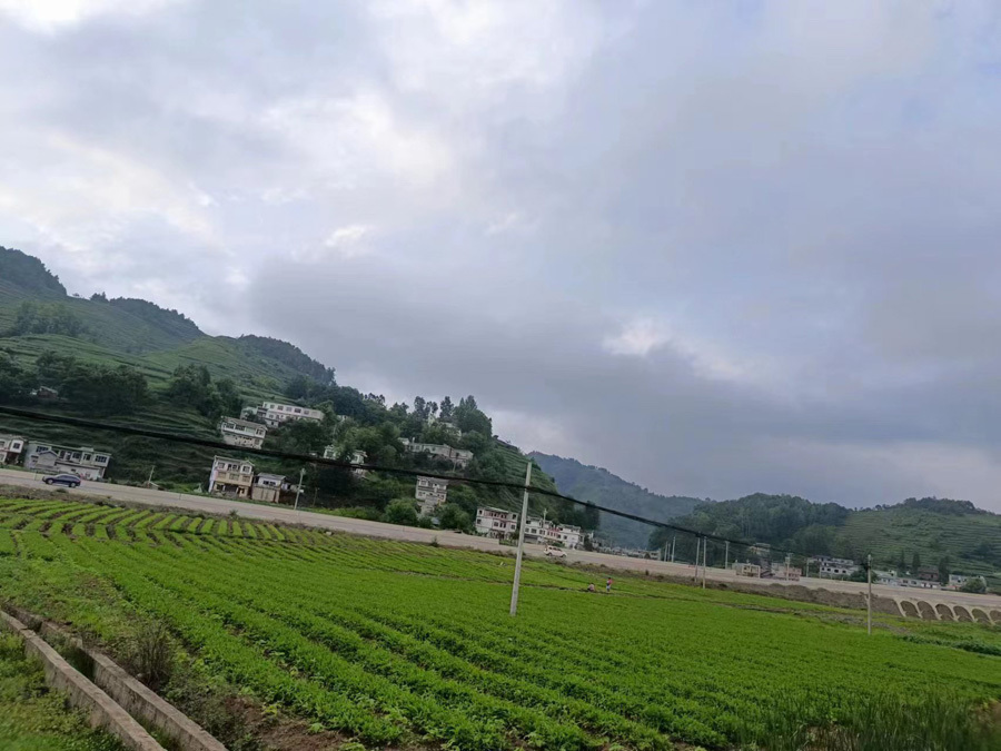 圖片名稱