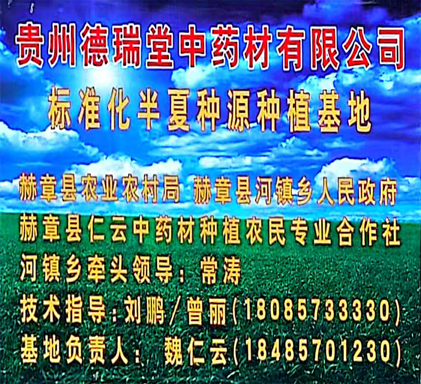 圖片名稱