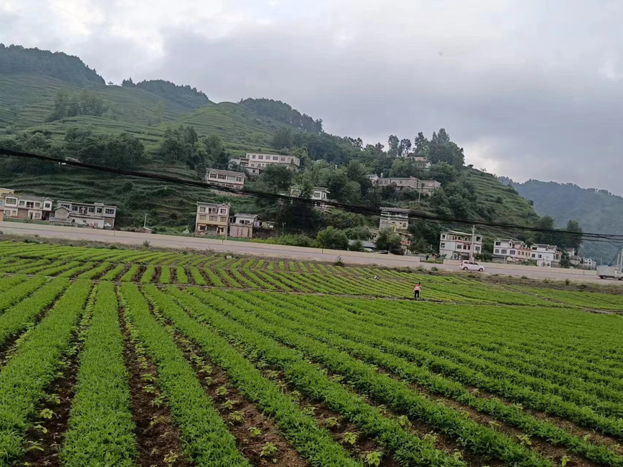 圖片名稱