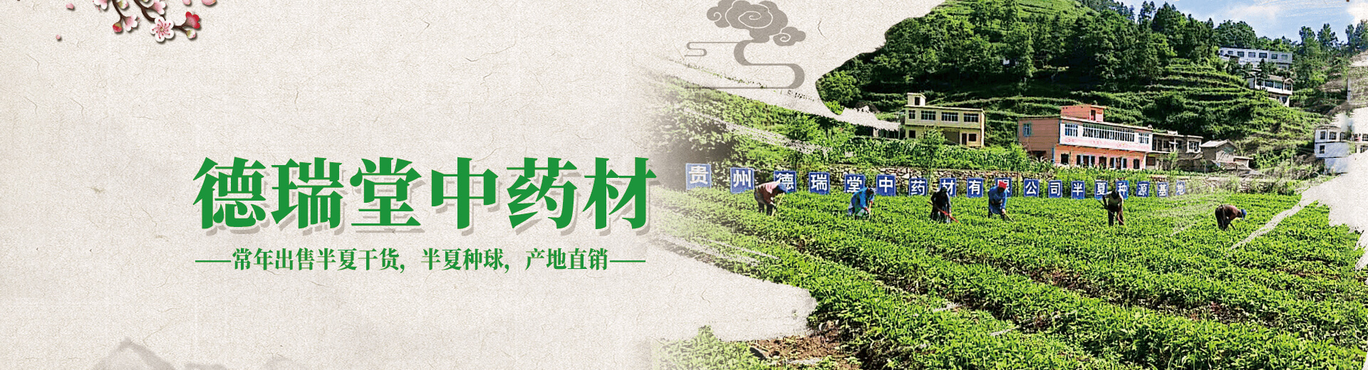 資質(zhì)榮譽(yù)