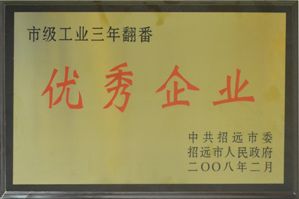 2008年市级工业三年翻番优秀企业