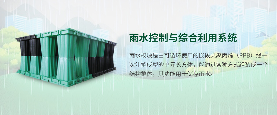雨水控制與綜合利用系統