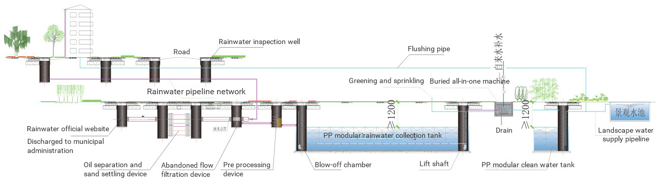 Rainwater collection and reuse system