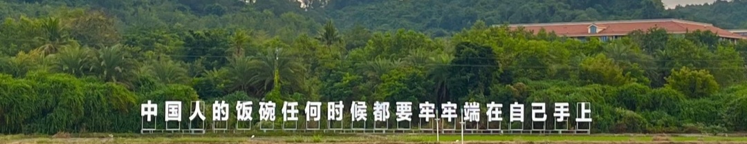 新聞資訊