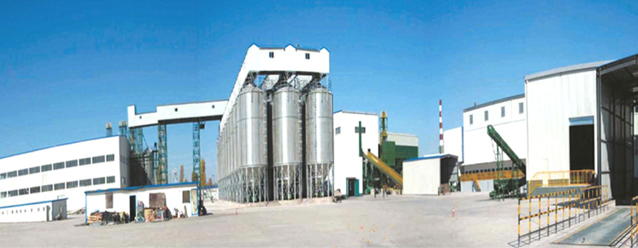 公司承建的中国种子集团张掖分公司玉米果穗烘干生产线