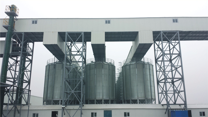 Xinjiang Jiuhe seed processing plant steel plate warehouse group