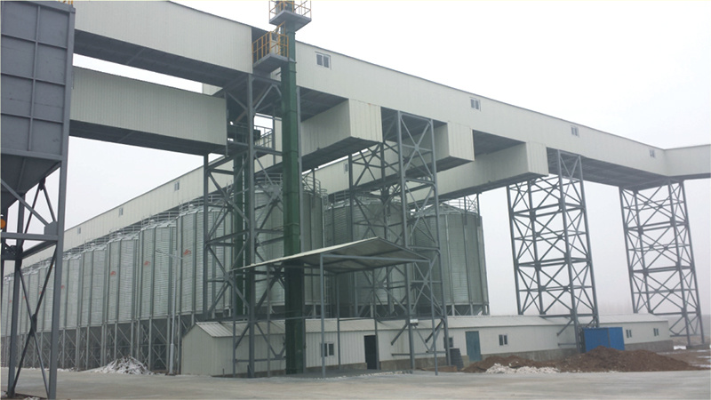 Dunhuang seed processing plant steel plate silo group