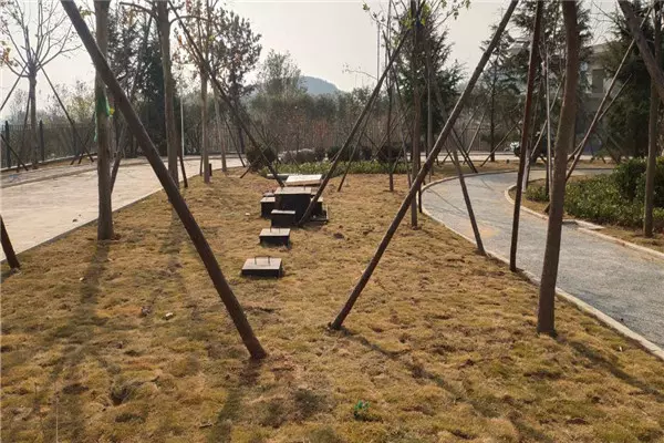 威海干部學(xué)院生活污水處理現(xiàn)場安裝