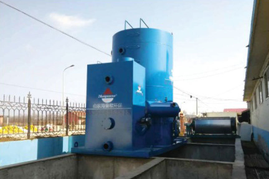 Vertical flow dissolved air flotation machine