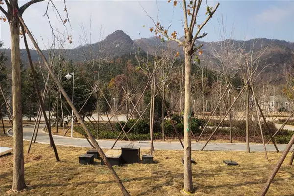 Installation of Domestic Sewage Treatment Site at Weihai Cadre College