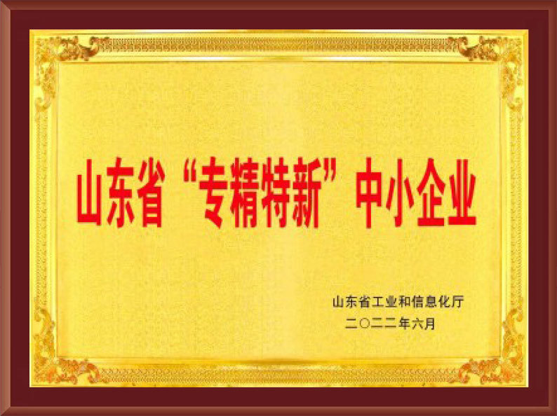 Shandong Province's "Specialized, Refined, and New" Small and Medium Enterprises