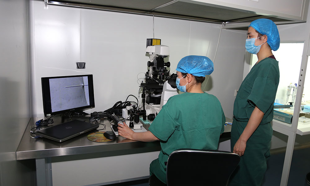 生殖技术研究室工作人员进行卵细胞浆内单精子注射操作