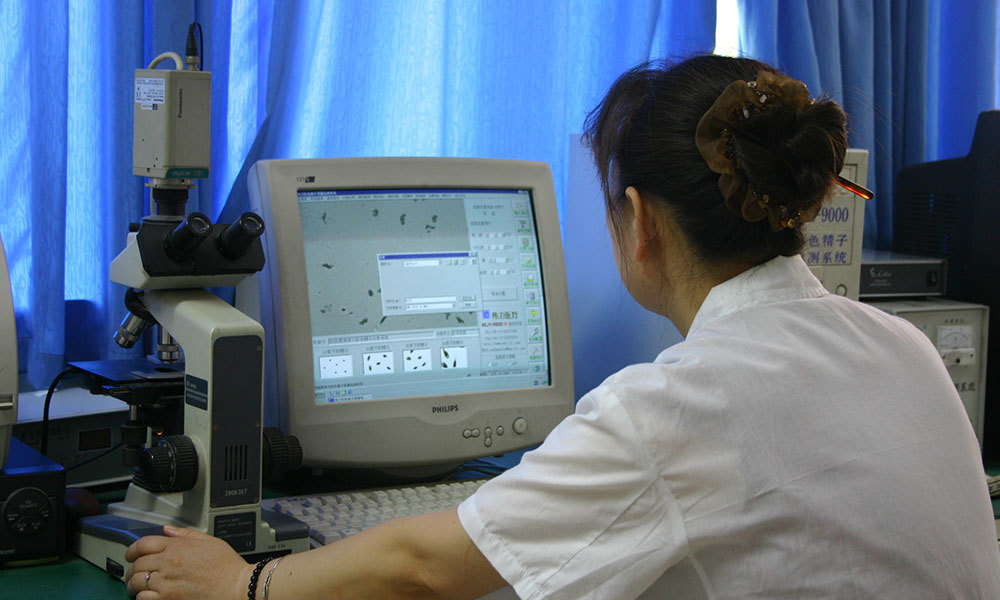 精液分析（2005年）