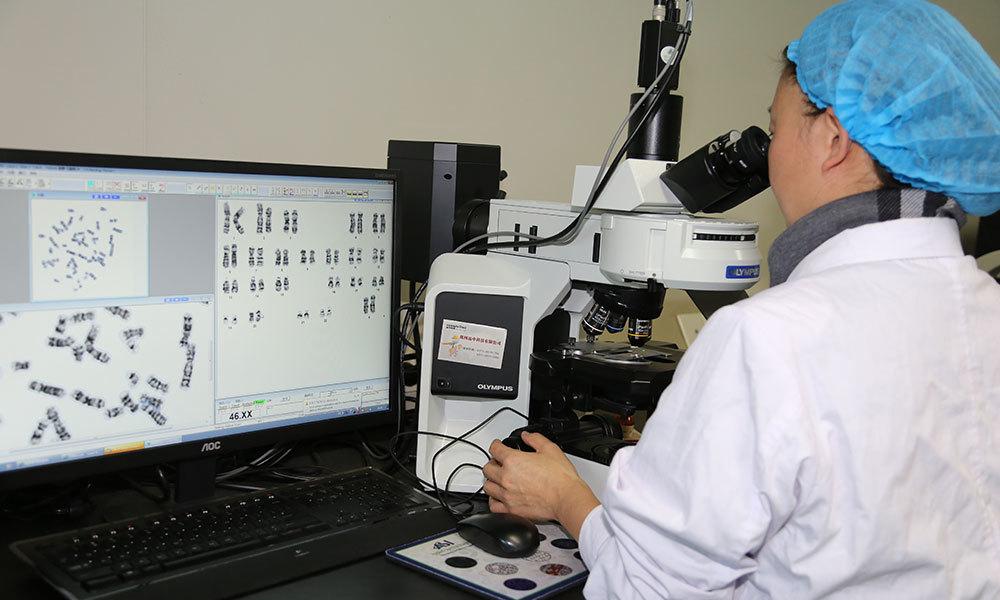 Olympus-染色体智能分析仪，实验室副主任王艳丽在做染色体核型分析