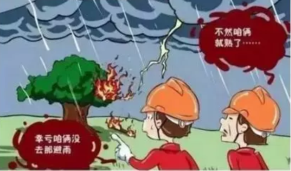 吃
