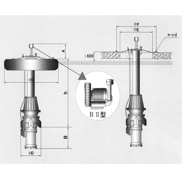 ZXPQ-BⅡ加強(qiáng)型復(fù)葉推流式潛水曝氣攪拌兩用機(jī)