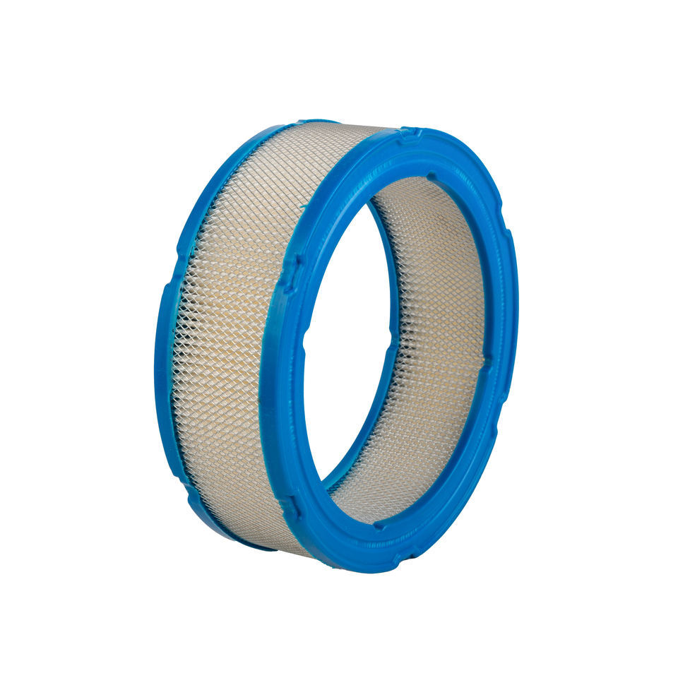 Briggs 394018 392642 290400 290700 392642 394018 LG394018 Air Filter