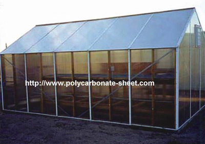 Garden sunshine flower house