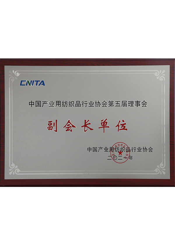 Vice President Unit of Industry Association Vice President Unit of Industry Association