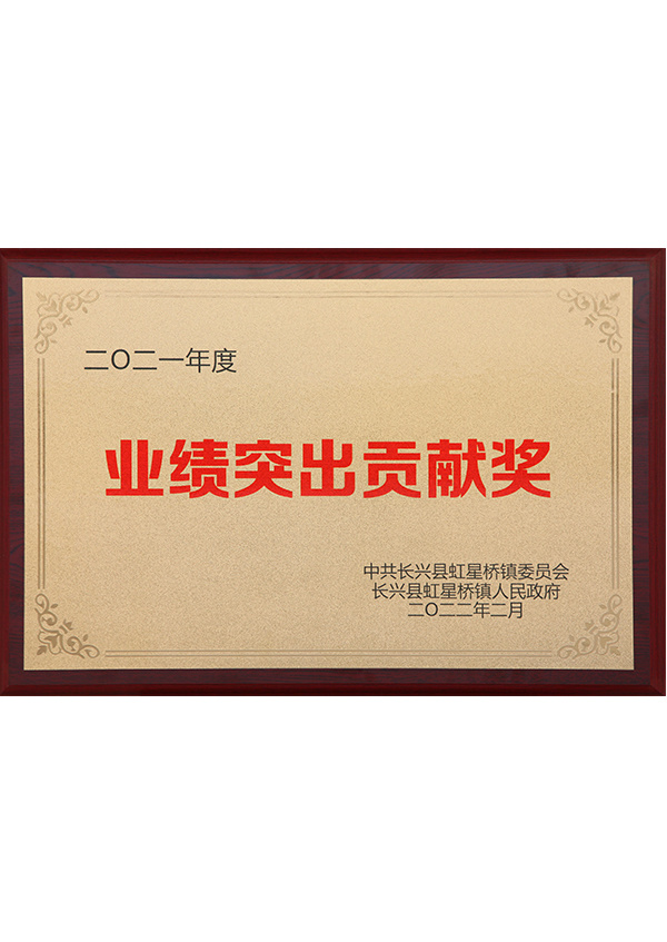 Hongxingqiao Town Outstanding Performance Contribution Award Hongxingqiao Town Outstanding Performance Contribution Award