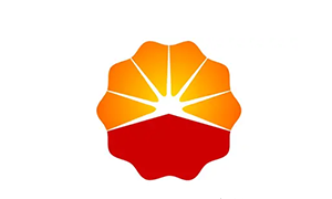 中國石油天然氣股份有限公司