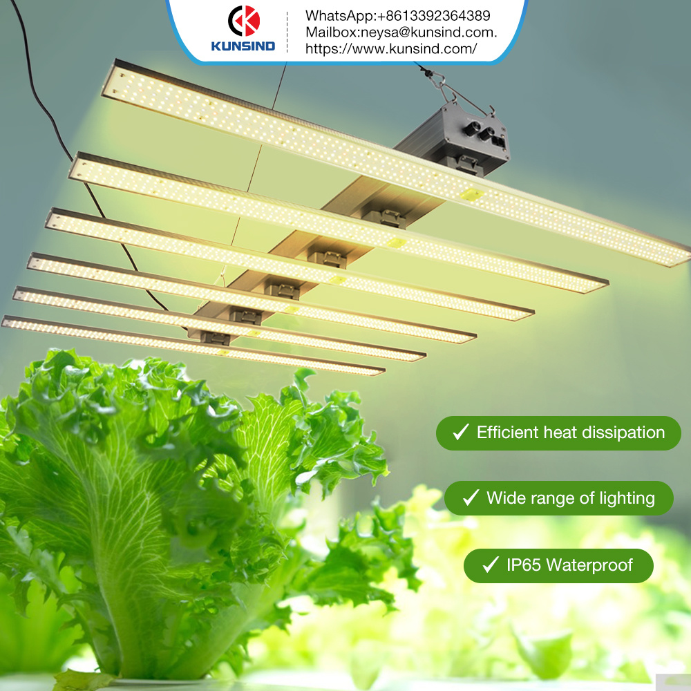 news-dongguan-kunsheng-electronics-co-ltd-plant-lamp