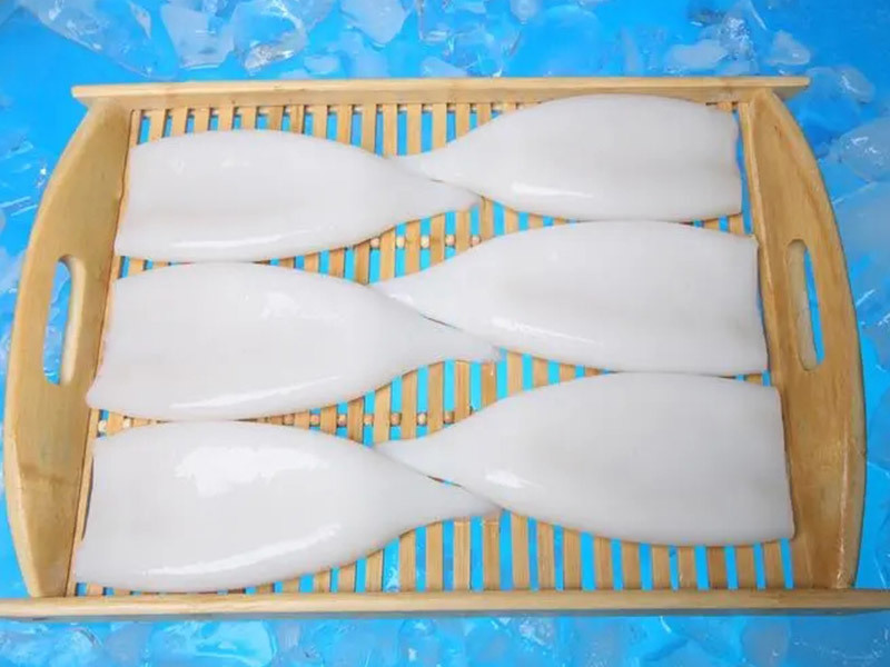 魷魚(yú)筒