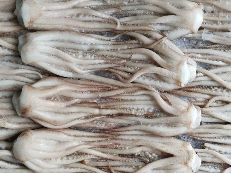魷魚頭