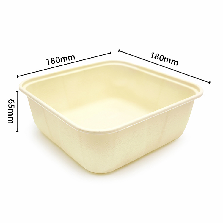 环保多功能可生物降解双层食品外卖方形餐盒