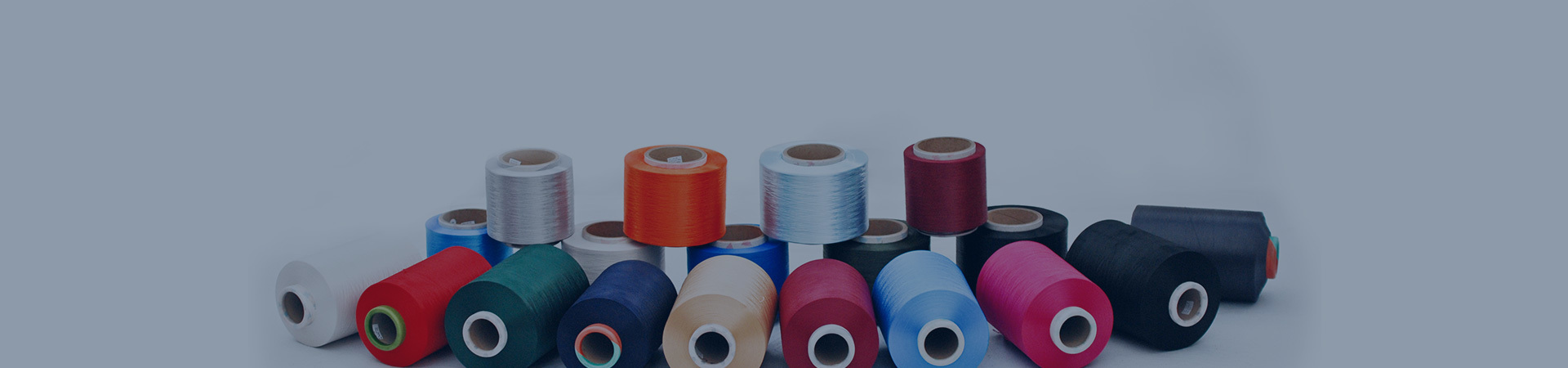 National nylon 6 functional fiber and fabric product development base