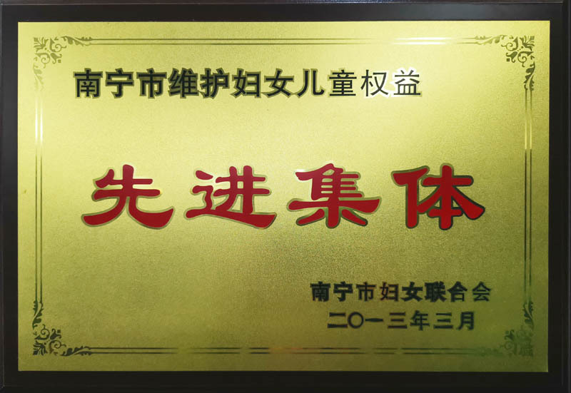 2013年先進(jìn)集體