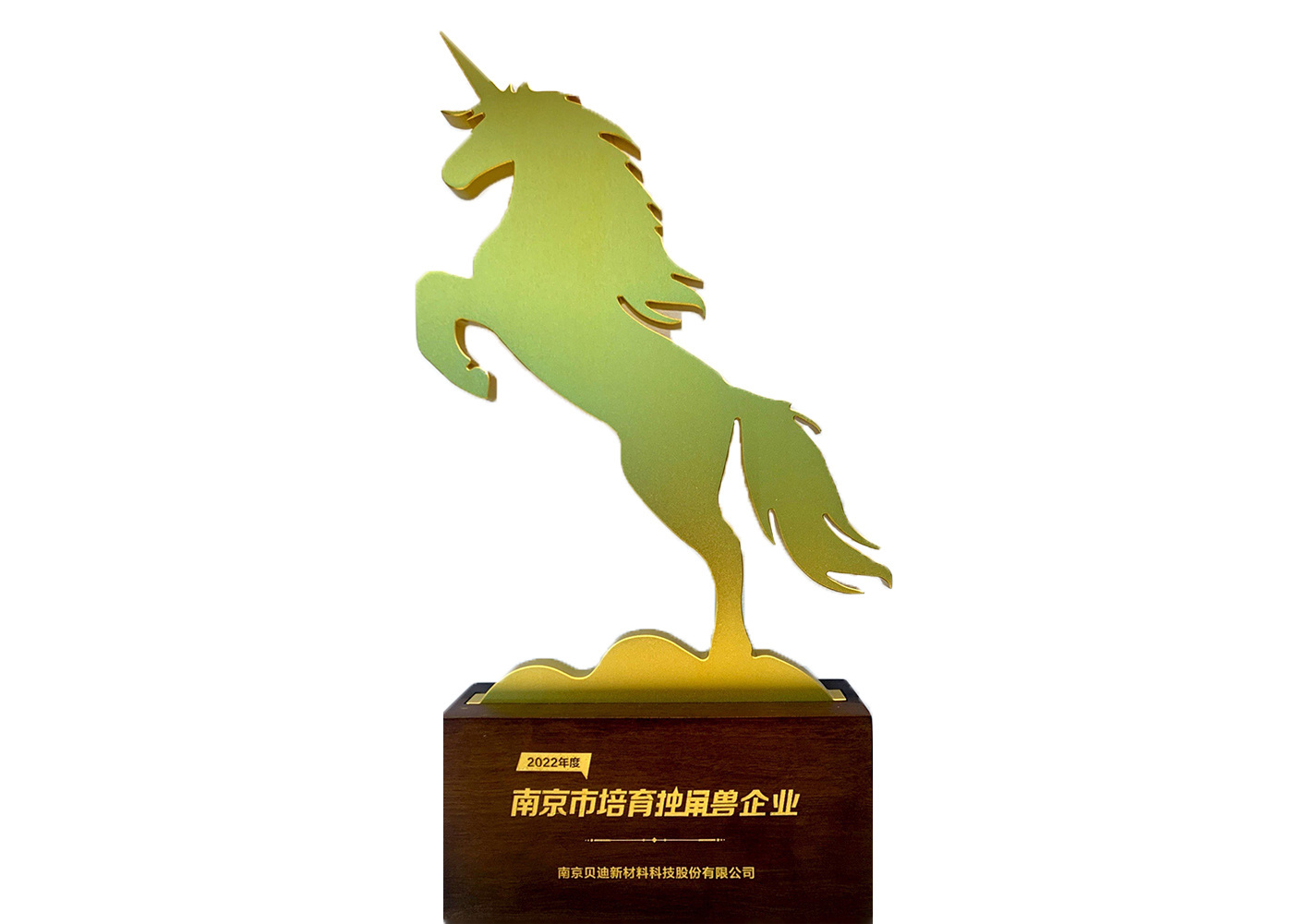 Nanjing Cultivates Unicorn Enterprises