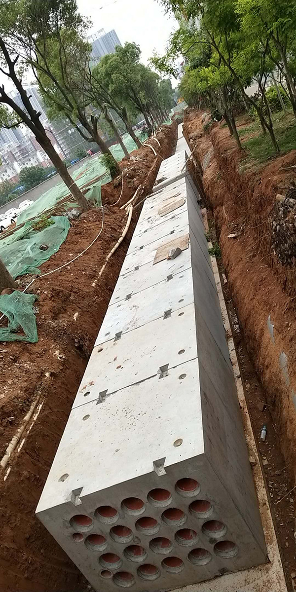 蓮西大道