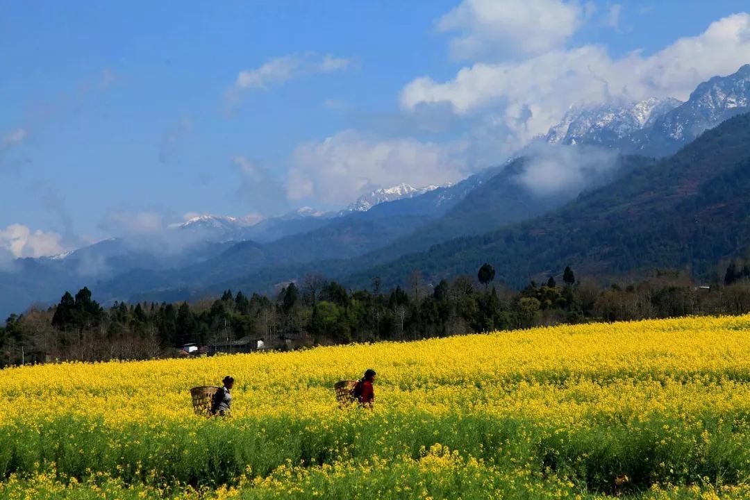 တန်ချောင်မီးတောင် အာတမီပင်လယ်တွင် ၂၆°မြောက် လတ္တီတွဒ်တွင် ကုသမှုခရီးစဉ်ကို စတင်ခဲ့