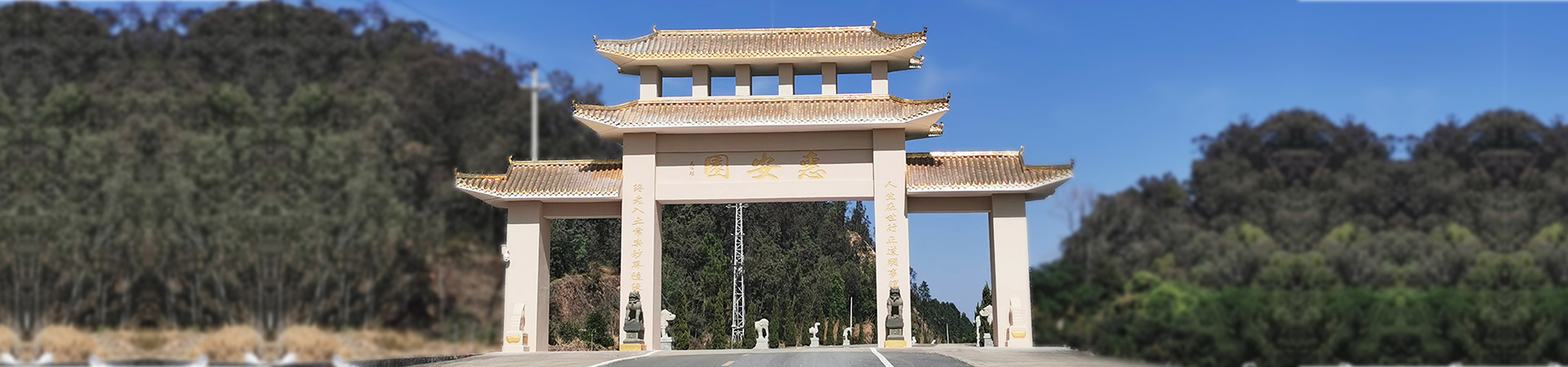 公司简介