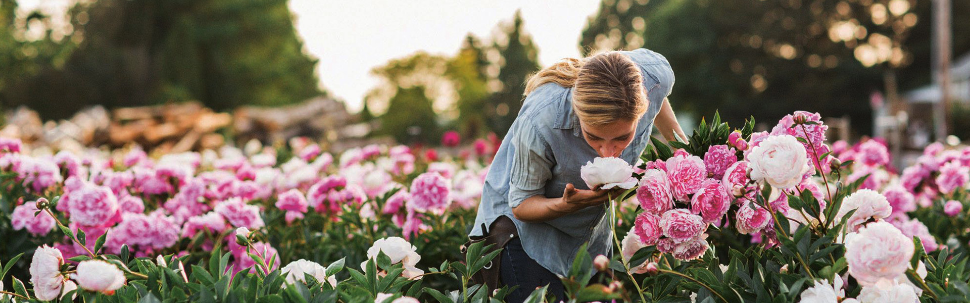 CULTIVATION TECHNIQUES