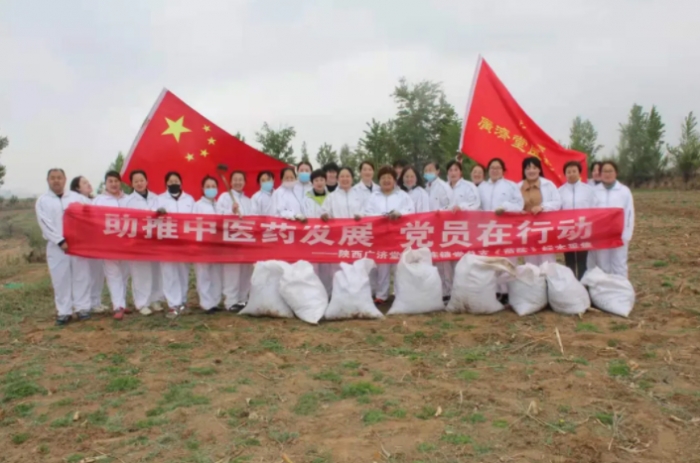广济堂 | 传播中医药文化，茵陈采集进行时