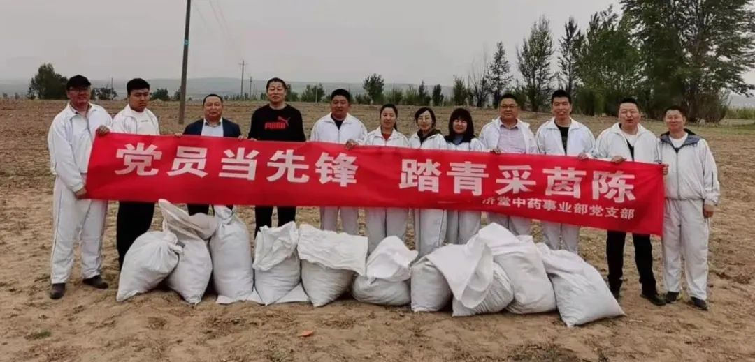 黨建動態(tài) | 廣濟堂中藥事業(yè)部黨支部茵陳采集活動