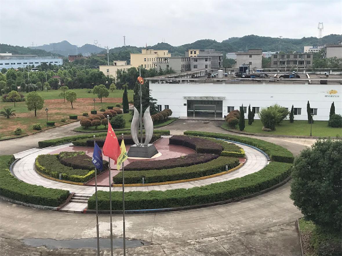  公司风景