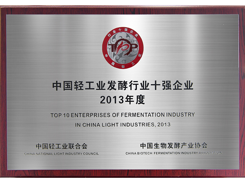 中国轻工业发酵行业十强企业2013年度
