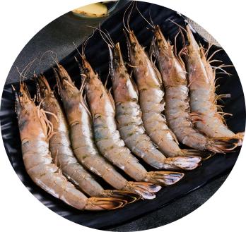 攝圖網(wǎng)_501666083_海鮮水產(chǎn)食物大蝦龍蝦（企業(yè)商用）