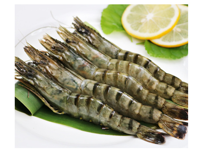 越南黑虎虾
