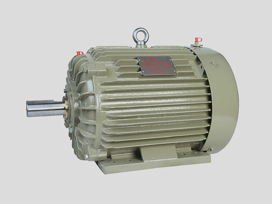 NEMA Series High Slip Three-Phase Induction Motor