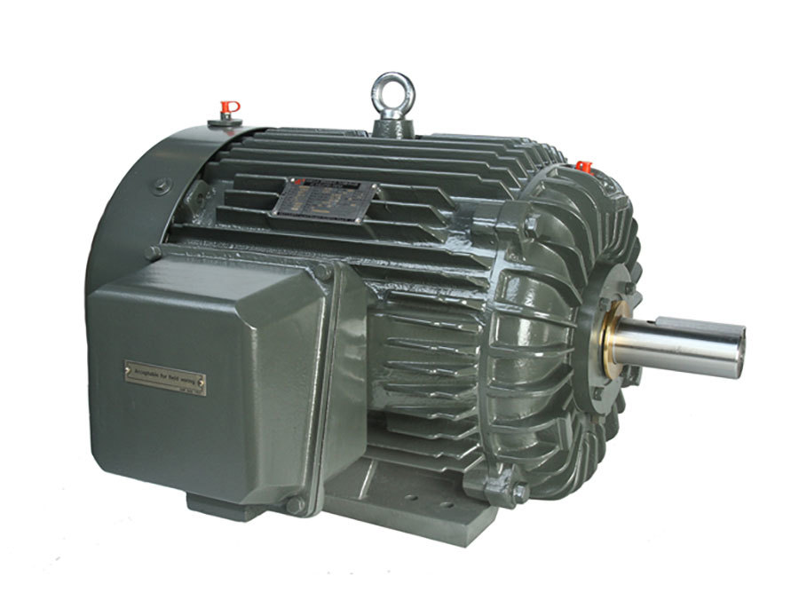 NEMA Series Non-Sparking Three-Phase Induction Motor