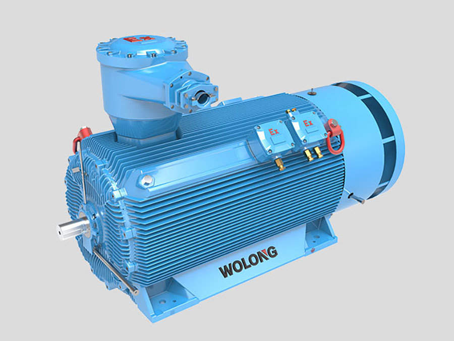 Compact Three-Phase Induction Motor (TEFC)