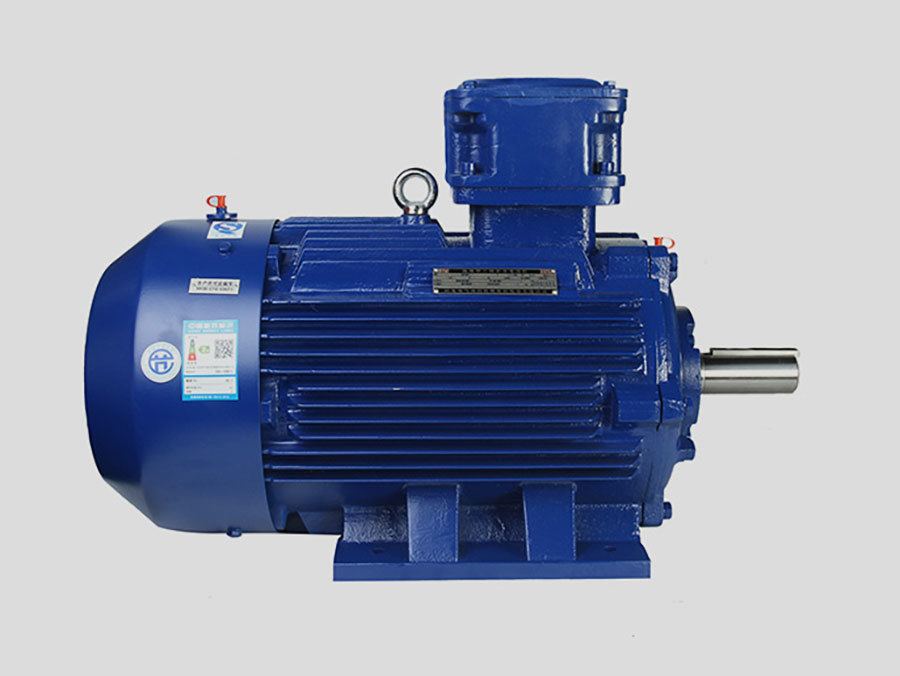 Marine Explosion-Proof Motor