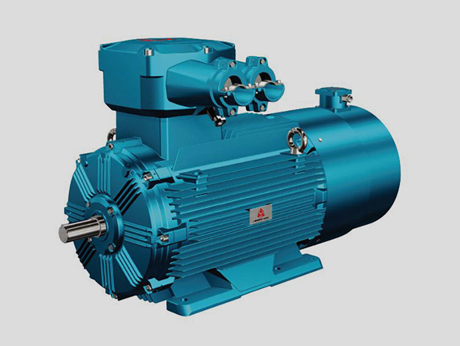 Low Voltage Variable Frequency YBBP Explosion-Proof Three-Phase Asynchronous Motor