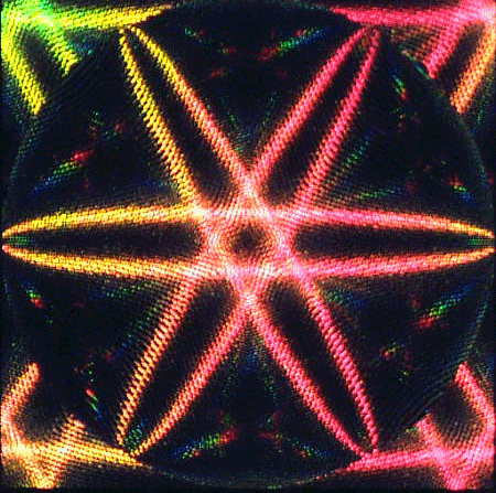 3D動態(tài)