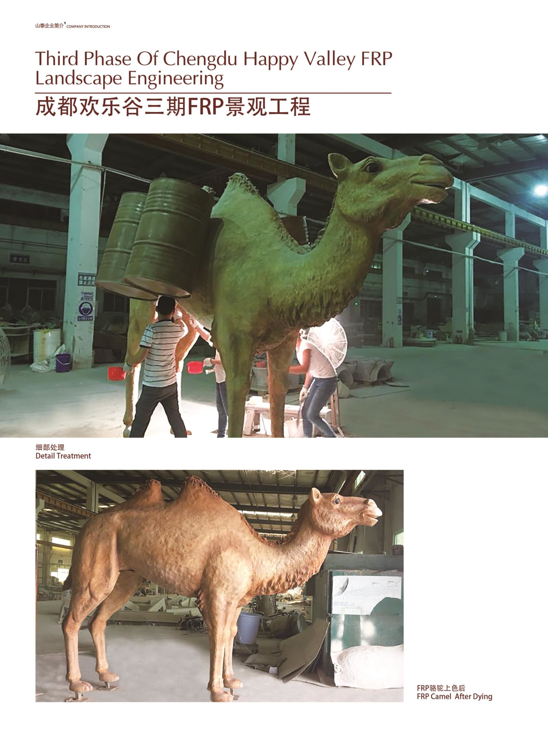 Company Album