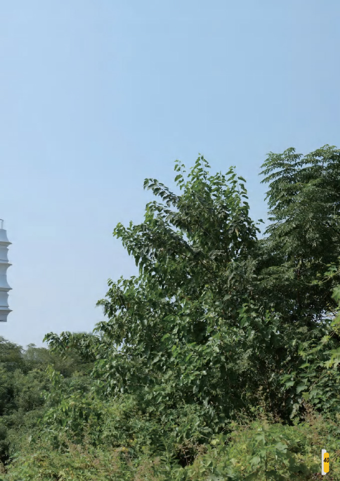 图片名称